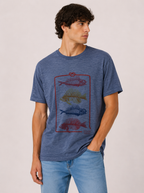 T-shirt Uomo Koala Bay