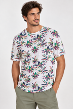 T-shirt Uomo Koala Bay