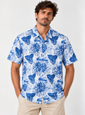 Camicia Uomo Koala Bay