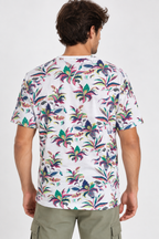 T-shirt Uomo Koala Bay