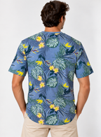 T-shirt Uomo Koala Bay