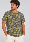 T-shirt Uomo Koala Bay